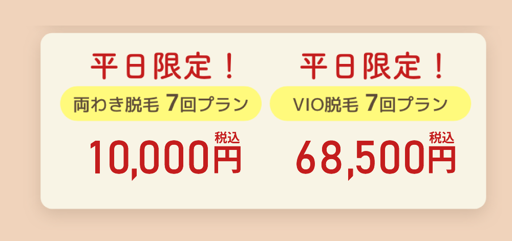 平日限定プラン