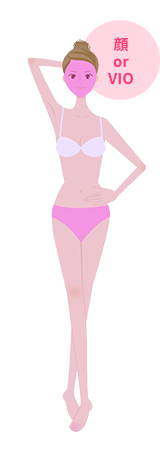 医療脱毛部位のイラスト