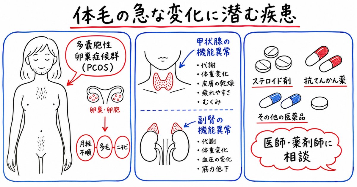 体毛の急激な変化に隠れている可能性がある疾患