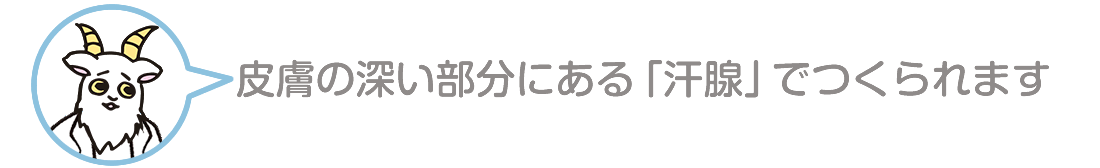 皮膚の深い部分にある「汗腺」でつくられます