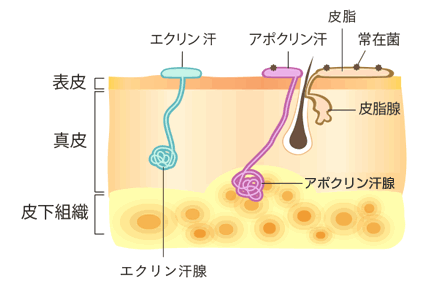 スタッフ写真