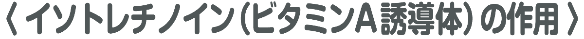 イソトレチノイン（ビタミンA誘導体）の作用