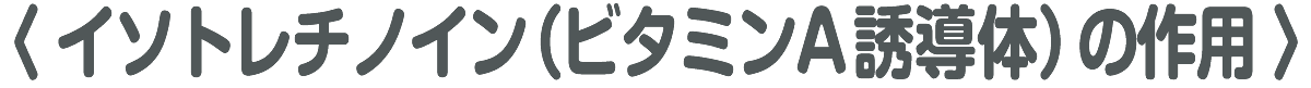 イソトレチノイン(ビタミンA誘導体)の作用