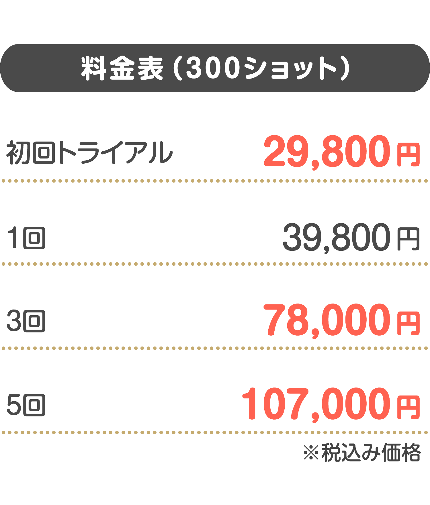 料金表（300ショット）