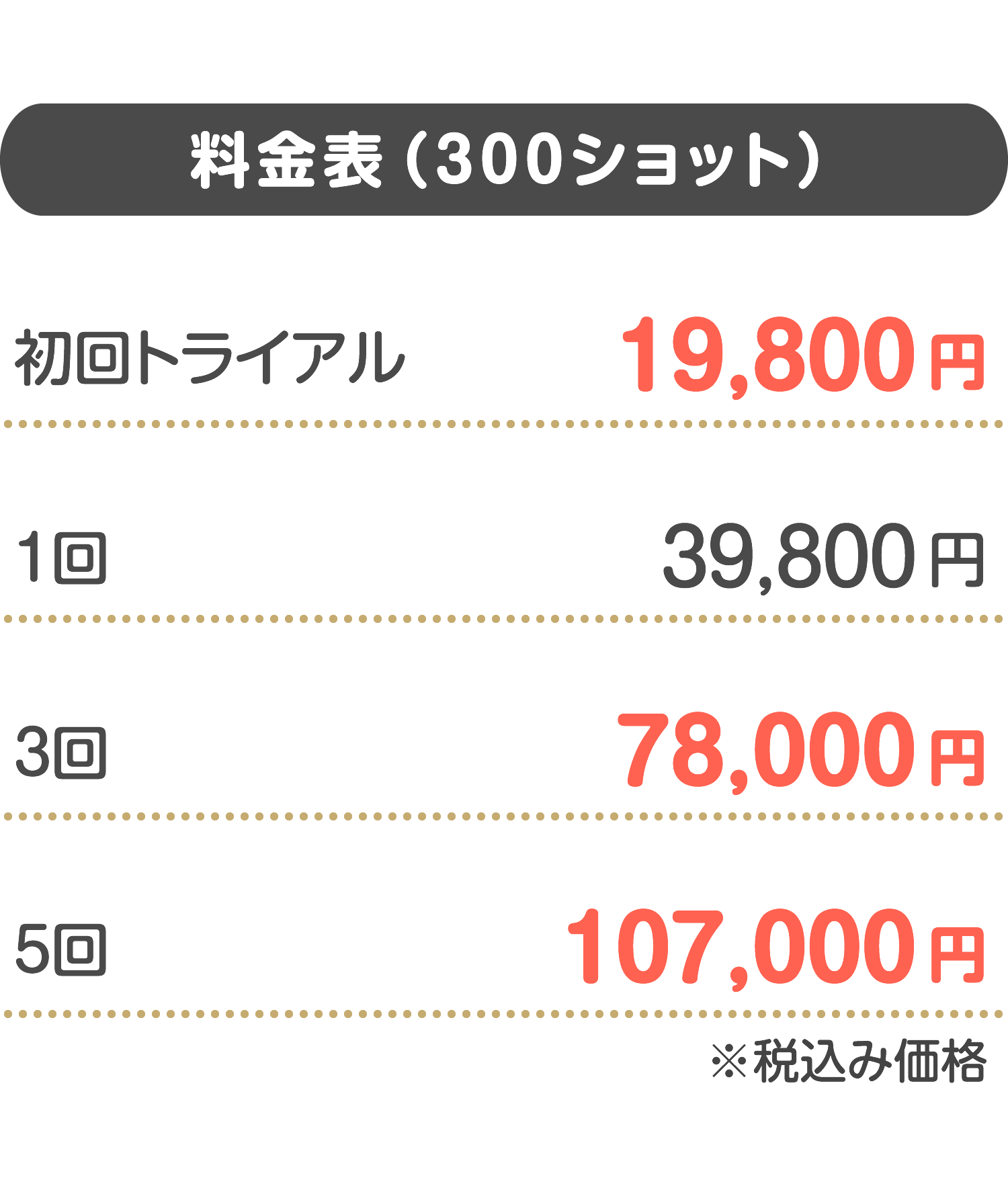 料金表（300ショット）